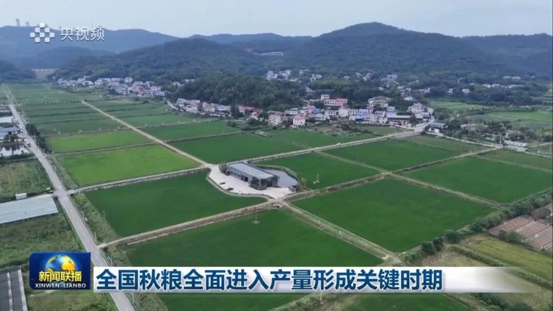 银娱优越会(中国)股份有限公司官网